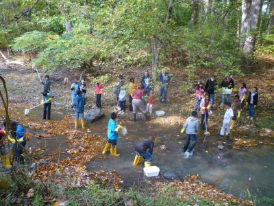 GreenKids Pix3