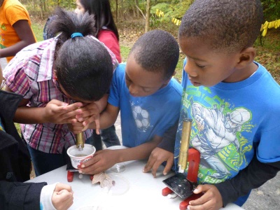 GreenKids Pix5