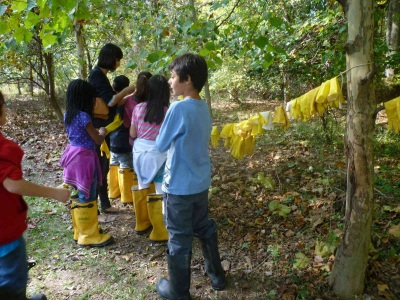 GreenKids Pix6