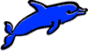 dolphin_small