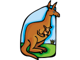 Wallaby