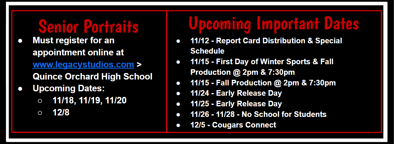 banner - 11-12-25.png