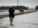 /uploadedImages/schools/briggschaneyms/gallery/Dairy Farm Dec 2013 2013-12-17 006.JPG