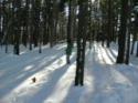 /uploadedImages/schools/briggschaneyms/gallery/Outdoor Ed Dec 2013 2013-12-17 030.JPG