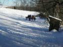 /uploadedImages/schools/briggschaneyms/gallery/Outdoor Ed Dec 2013 2013-12-17 070.JPG