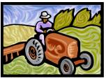 crops