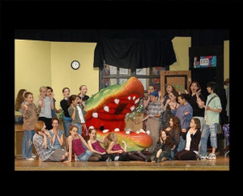 LittleShop2