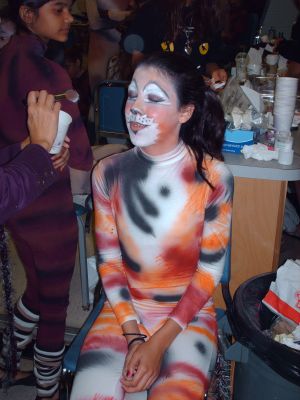 Cats Pictures