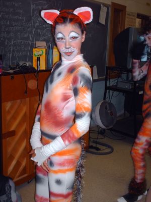 Cats6