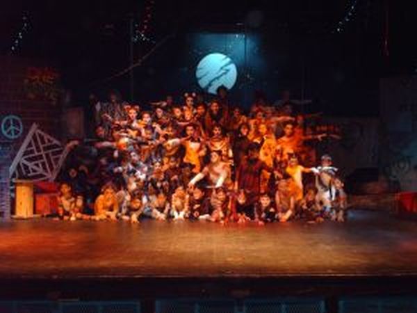 Cats7