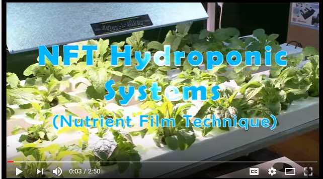 hydro nf