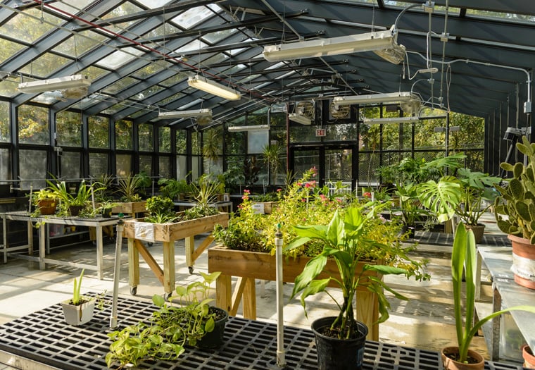 Greenhouse at Stephen Knolls School