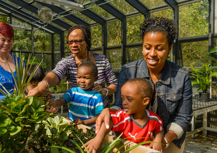 Greenhouse at Stephen Knolls School - Kids in the Greenhouse