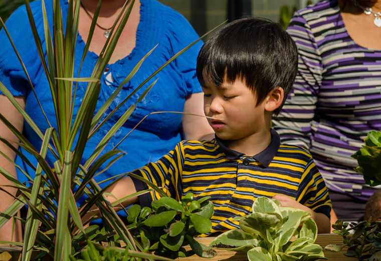 Greenhouse at Stephen Knolls School - Watering Plants