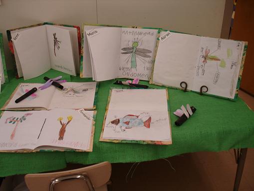 sketchbooks