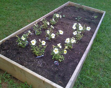 garden3
