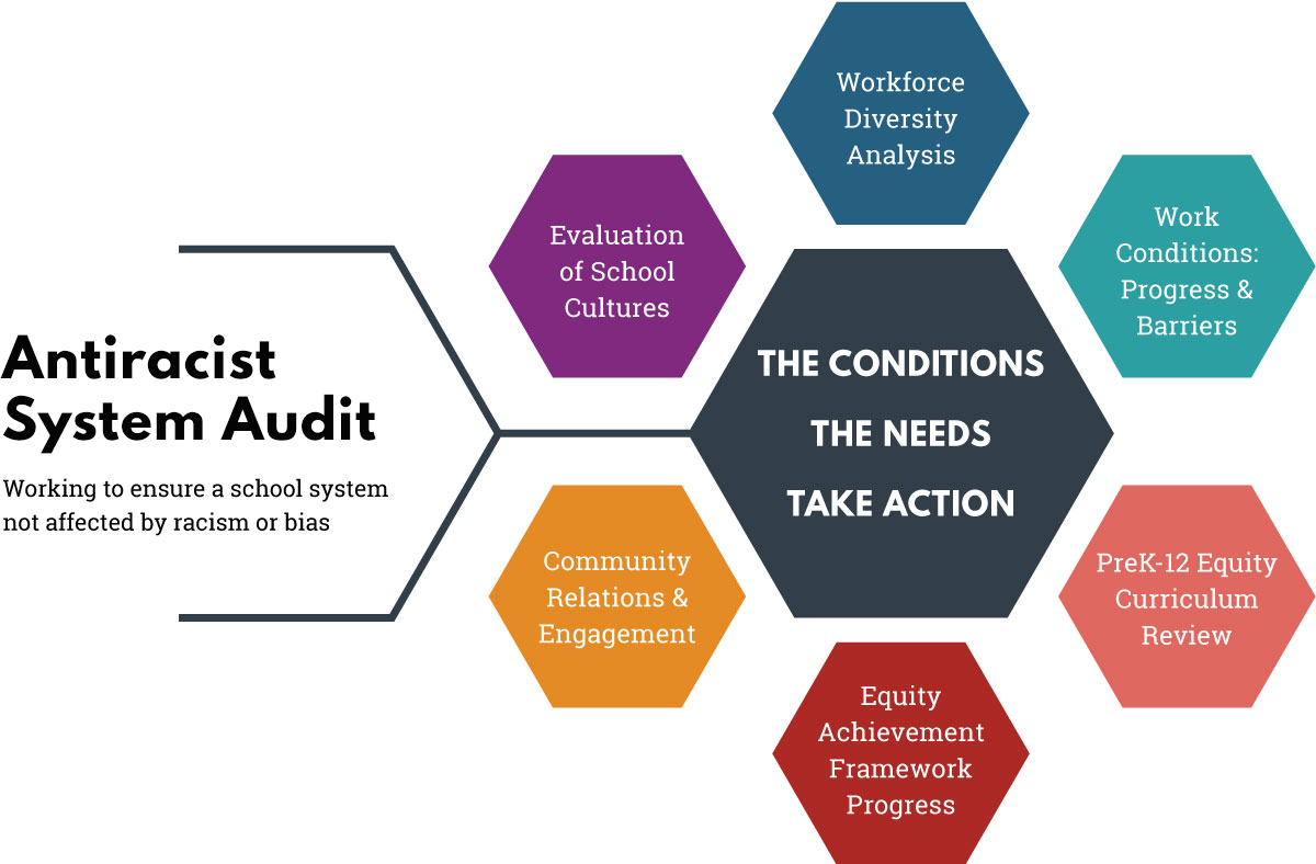 Antracist System Audit will look at six areas