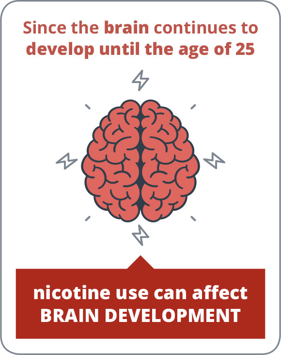 Nicotine's effect on brain development