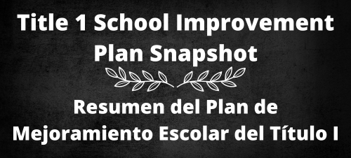 Title 1 School Improvement Plan Snapshot